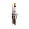 BOUGIE D ALLUMAGE B7RTC TORCH SEGWAY